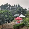 Отель Club Awara Holiday Resort, фото 3