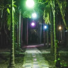 Отель Dandeli Jungle Villa, фото 10