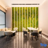 Отель Selection Hotel (Chengdu Longquan Yishimao Plaza), фото 8