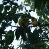 Отель Hostel Alberg Binicanella, фото 9