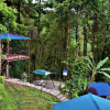 Отель Jungle Crown Organic Homestay, фото 8