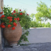 Отель Viglatoras, фото 8