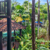 Отель Hibiscus Resort 10   Fabulous location, фото 1