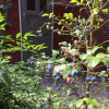 Отель Guest House Chalet Sielu, фото 14