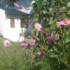Отель Cabañas Estancia Alpa Corral, фото 6