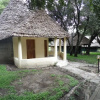 Отель Mara Ndovu Lodge, фото 4