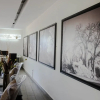Отель Musina Hotel, фото 7