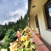 Отель Jelenia Struga MEDICAL SPA, фото 27