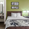 Отель Sleep Inn & Suites Near I-90 and Ashtabula, фото 4