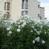 Отель Grodzki, фото 1