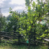 Отель Tiny hut in the Forest Overlooking the River, фото 15
