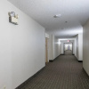 Отель Bearcat Inn and Suites, фото 11