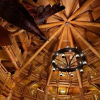 Отель Wdw The Villas At Disney's Wilderness Lodge. (dc), фото 9