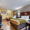 Отель Econo Lodge, фото 28
