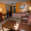 Отель Pinewood Motor Inn, фото 5