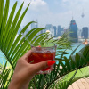 Отель Regalia Suites & Hotel, фото 11