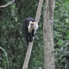 Отель Tiriguro Lodge, фото 23
