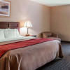 Отель Comfort Inn Livonia, фото 6