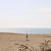 Отель Little Beach House, фото 15