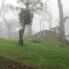 Отель Neelakurunji Luxury Plantation, фото 3