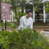 Отель Mercure Campinas Hotel, фото 37