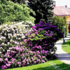 Отель Spa Resort Libverda - Villa Friedland, фото 24