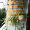 Отель OYO 1168 Elly's Home 2, фото 33