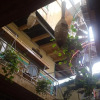 Отель Sapa Meriton Boutique Hotel, фото 15