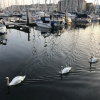 Отель Freemans Wharf, фото 18