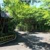 Отель Orihashi Ryokan, фото 17