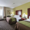 Отель Comfort Inn Decatur Priceville, фото 25