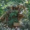 Отель 1 BHK Cottage in Wayanad wildlife sanctuary, by GuestHouser (DD54), фото 11