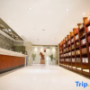 Отель Dinis Hotel (Luoyang Kaiyuan), фото 2