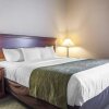 Отель Comfort Inn & Suites Tuscumbia - Muscle Shoals, фото 7