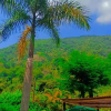 Отель Finca Hotel Mi Cabaña Escondida, фото 6