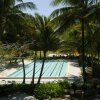Отель Paradise Palms Resort & Country Club, фото 23