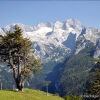 Отель Holiday Home Edelweiss, фото 6