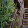 Отель Yulong Qiantang Inn (Lijiang Shuhe Ancient Town), фото 7
