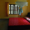 Отель Clouded Leopard Guesthouse, фото 4