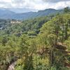 Отель N201 at Outlook Ridge Baguio, фото 15
