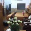 Отель Mingalar Inn, фото 12