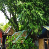 Отель Filistay Homestay, фото 12