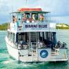 Отель Bimini Big Game Club Resort & Marina, фото 7