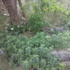 Отель Wilka Pacha - Casas Serranas, фото 34