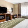 Отель Comfort Inn Okemos - East Lansing, фото 6