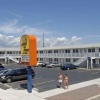 Отель Sun N Fun Motel в Оушне-Сити