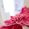 Отель Casa Viviana - Bari Policlinico, фото 21
