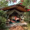 Отель Mara Big Five Lodge, фото 17