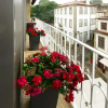 Отель Vila de Ponte Guest House, фото 24