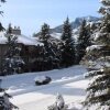 Отель Jackson Hole Rendezvous Ski Condo, фото 16